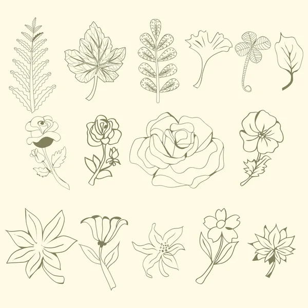 Grafische collectie met bladeren en bloemen, tekening van elementen. — Stockvector