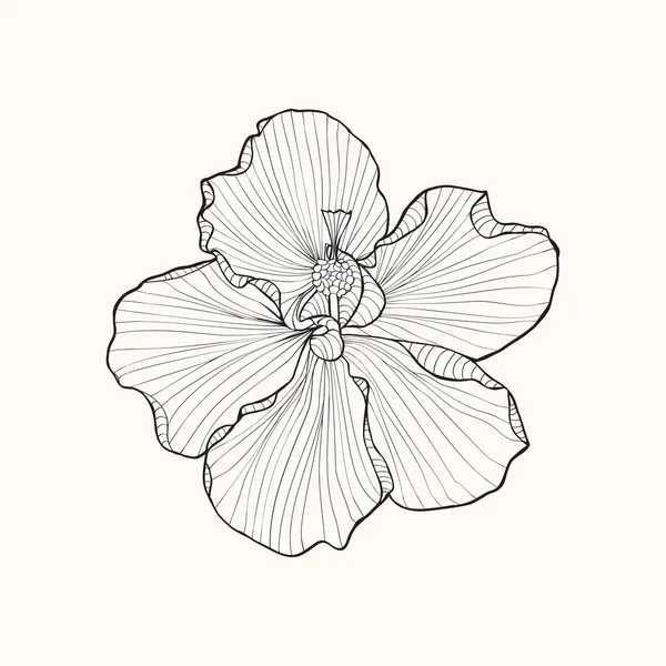 Шаблон с цветком гибискуса . — стоковый вектор