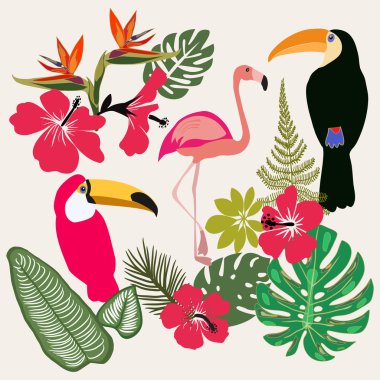 Yaz tropikal grafik öğeleri kümesi. 