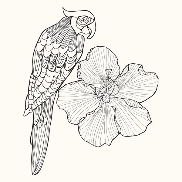 Çiçek ebegümeci ile egzotik kuş papağan. — Stok Vektör