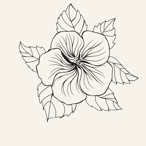 Hawaii hibiscus bloem, blad voor Coloring boekenpagina voor volwassene — Stockvector