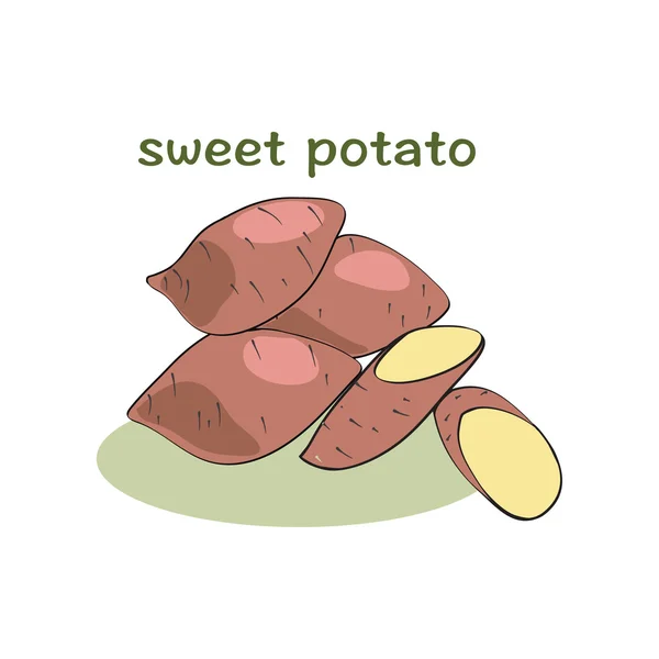 Batatas doces isoladas em fundo branco — Vetor de Stock