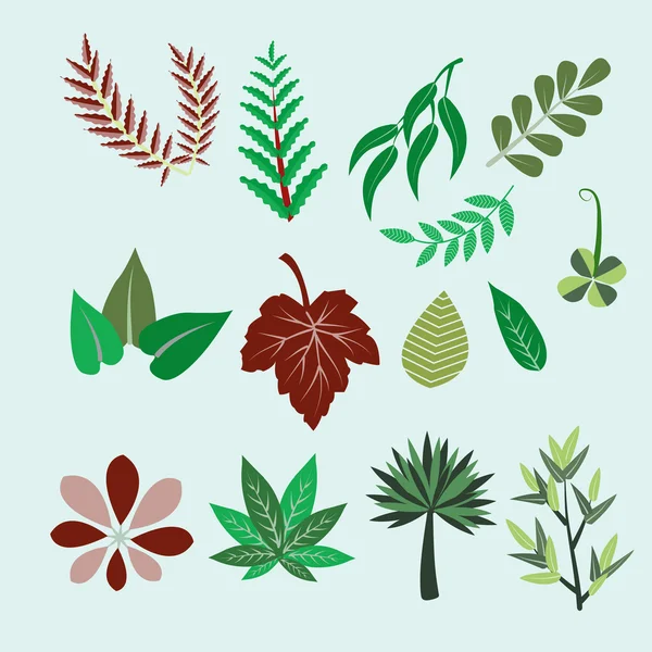 Collection of colorful leaves - Illustration — Stock Vector