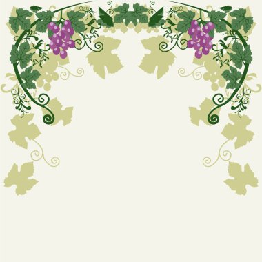 Vektör çizim ile üzüm asma yaprakları