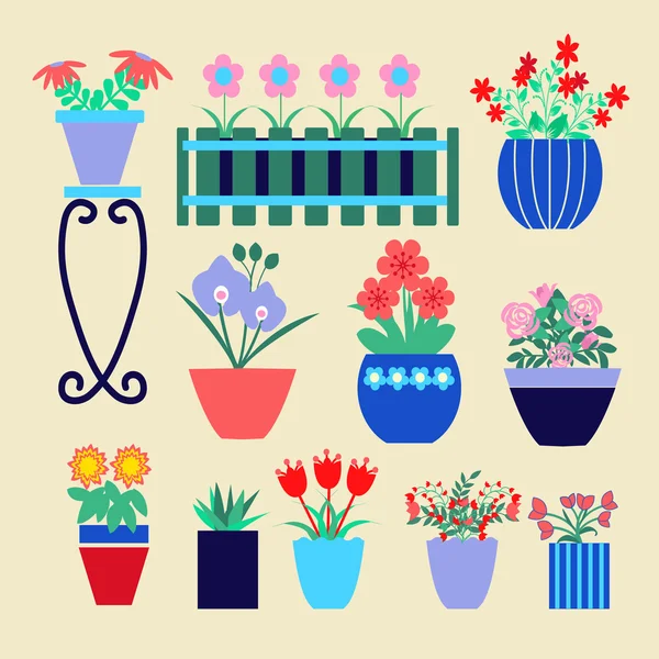 Ensemble de différentes fleurs printanières en pots . — Image vectorielle