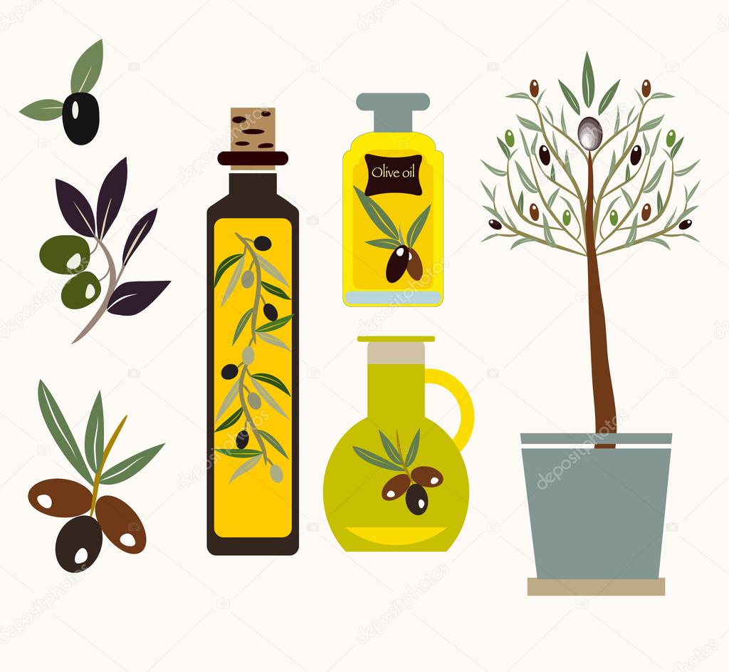 Vector  Set of the elements. Olives, olive oil, branch for design- illustration
