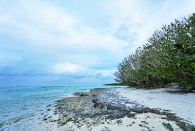 kum plaj Taketomi, Ishigaki, Japonya yıldız
