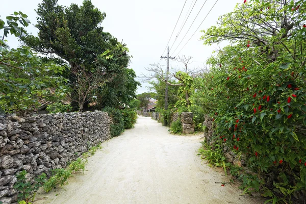 Ishigaki, Japão, dezembro, 17th, 2013, Taketomi island village, Ishi — Fotografia de Stock
