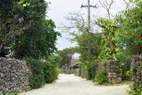 日本、2013 年 12 月 17 日、石垣島竹富島村、石 — ストック写真