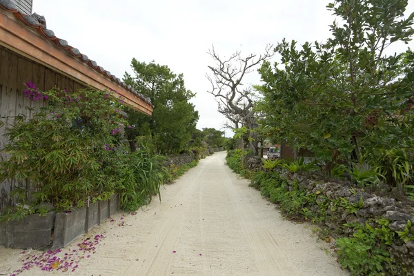 Село Острів Такетомі Ishigaki, Японії, 17 грудня 2013 року, Іші — стокове фото