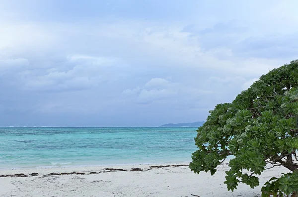 Kum plaj Taketomi, Ishigaki, Japonya yıldız — Stok fotoğraf