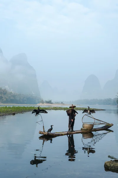 Aalscholver, man en li rivier landschap zicht met mist in sprin vissen — Stockfoto