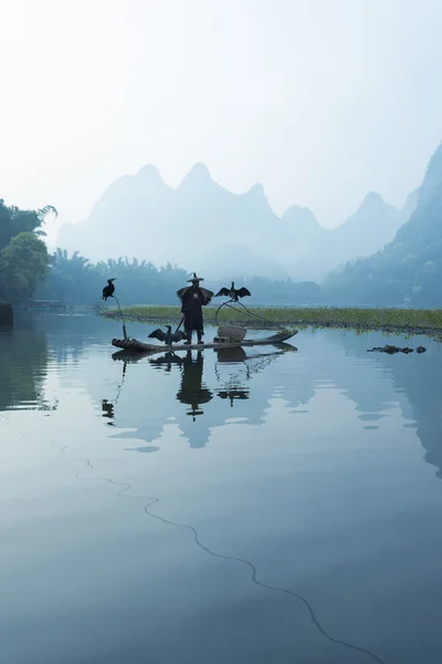 Aalscholver, man en li rivier landschap zicht met mist in sprin vissen — Stockfoto