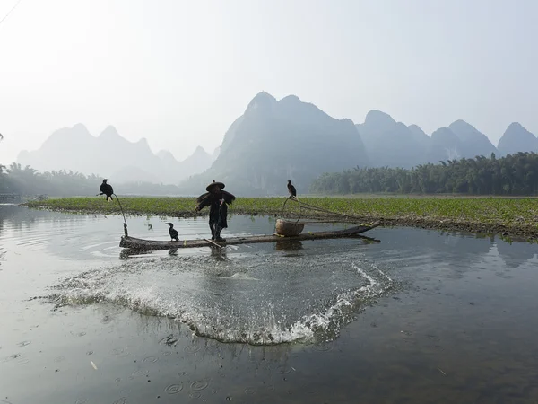 Cormorant, fish man and Li River scenery sight with fog in sprin — Stock Photo, Image