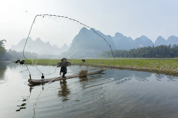 Aalscholver, man en li rivier landschap zicht met mist in sprin vissen — Stockfoto