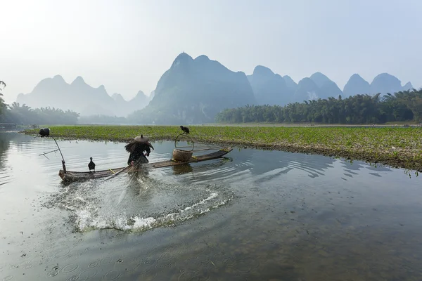 Aalscholver, man en li rivier landschap zicht met mist in sprin vissen — Stockfoto