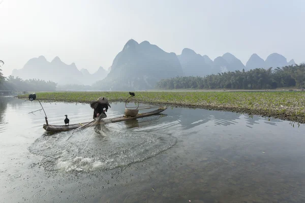 Aalscholver, man en li rivier landschap zicht met mist in sprin vissen — Stockfoto