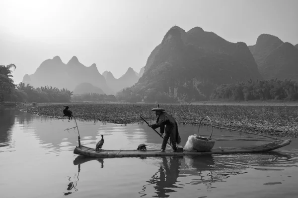 Aalscholver, man en li rivier landschap zicht met mist in sprin vissen — Stockfoto