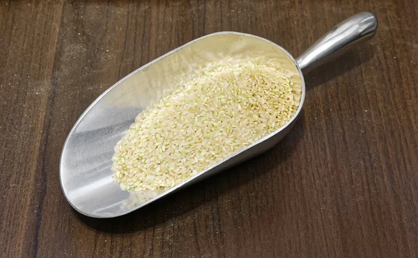 pişmemiş kahverengi pirinç ve shevol
