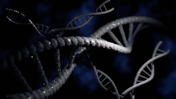 Animasi Dna Abstrak Hologram Bersinar Berputar Dna Helix Ganda Konsep — Stok Video