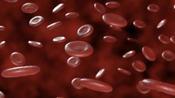 Red Blood Cells Movendo Corrente Sanguínea Uma Artéria Animação Células — Vídeo de Stock