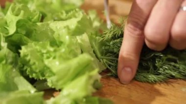 Yemek ve ev kavramı. Dereotu kesme.