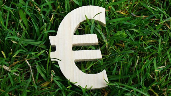 Euro sign of wood isolated on grass background