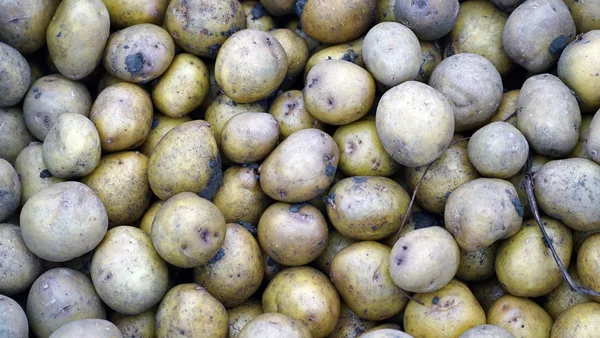 Fresh potatoes in storage house — Stock Photo, Image