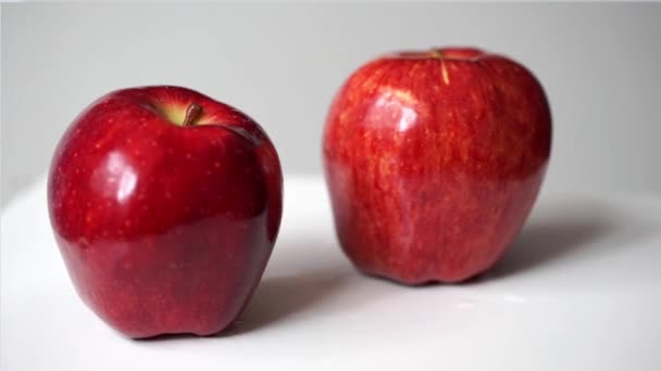 Dos giros de manzana roja sobre fondo blanco — Vídeo de stock