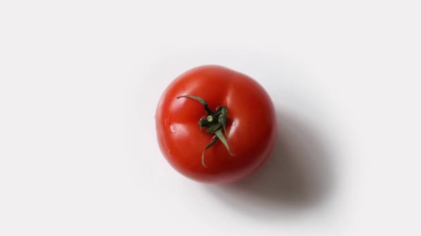 Rotación de tomate fresco sobre fondo blanco — Vídeos de Stock