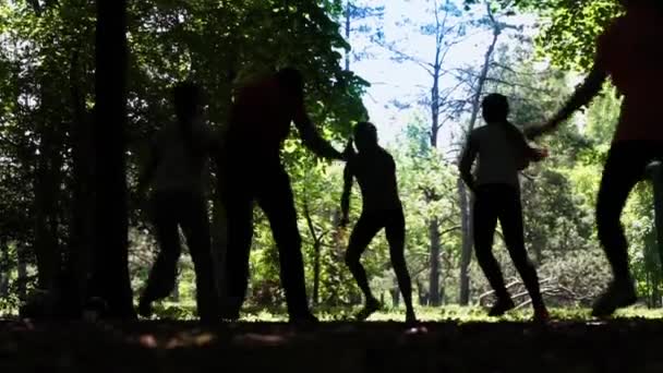 Groep van jonge vrouwen die zich bezighouden met fitness op de natuur — Stockvideo