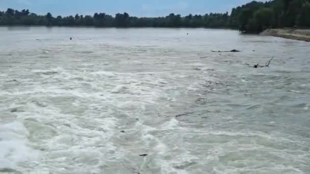 Acqua di inondazione scorre veloce giù fiume di montagna gonfio — Video Stock