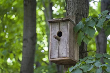 Kutusu veya ormana odun birfhouse iç içe yerleştirme