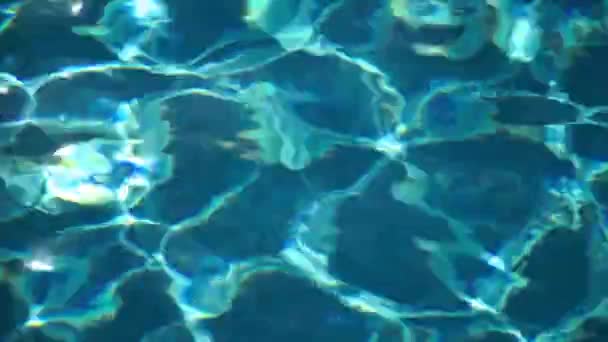 Chiaro acqua riflessione su piscina pavimento fondo astratto texture — Video Stock