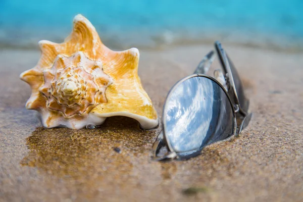 Gafas de sol y concha en la arena de la playa a la luz del sol, fondo, primer plano — Foto de Stock