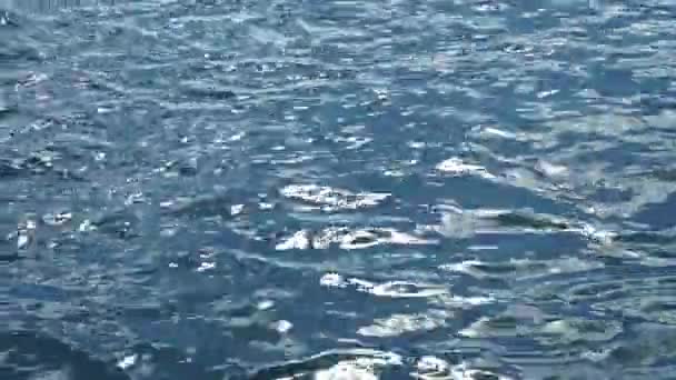Zvlnění na povrchu vody řeky — Stock video