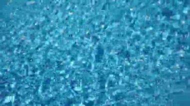 Yüzme Havuzu temiz su ile doldurun.