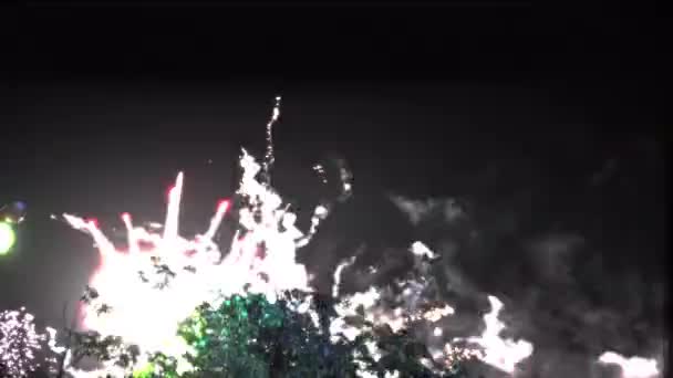 Fogos de artifício no céu noturno, feriado, público. Festa de Verão . — Vídeo de Stock