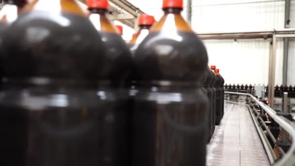 Primer plano de la industria de botellas de plástico en una cinta transportadora — Vídeos de Stock