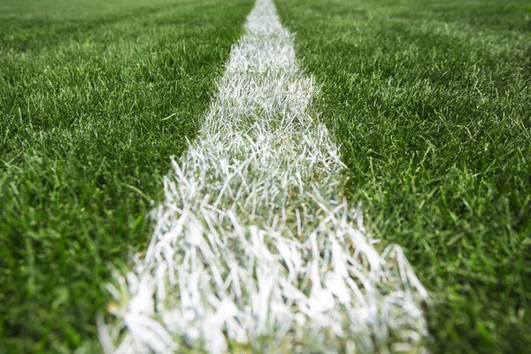 Striscia bianca sull'erba verde, calcio e stadio di calcio — Foto Stock