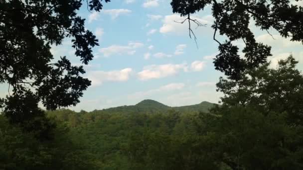 Pellicola time-lapse di sfondo cielo blu con nuvole tra querce in montagna — Video Stock