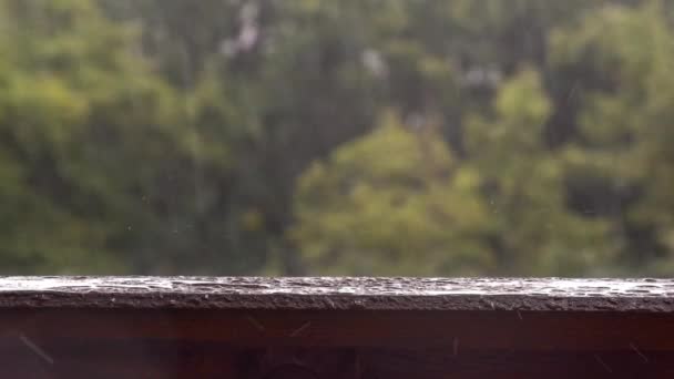 Lluvias tropicales intensas en el fondo forestal. Contiene el sonido original . — Vídeo de stock