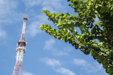 Yeşil ağaç, mavi gökyüzü arka plan üzerinde radyo ve televizyon sinyal verici anten yayın.