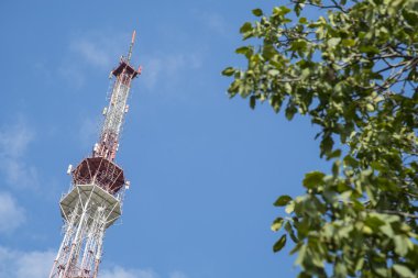 Yeşil ağaç, mavi gökyüzü arka plan üzerinde radyo ve televizyon sinyal verici anten yayın.