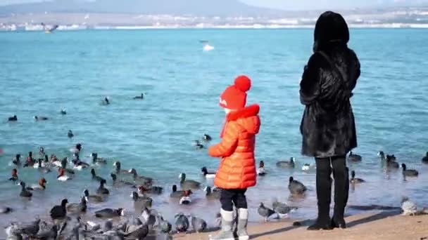 Mutter und Tochter füttern Vögel. — Stockvideo