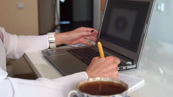 Skriva på laptop, kvinnliga händer. — Stockvideo