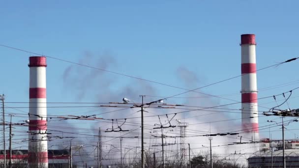 Refinería de petróleo - Planta industrial — Vídeos de Stock