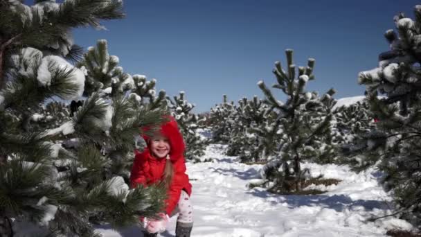Щаслива маленька дівчинка грає зі сніжками — стокове відео