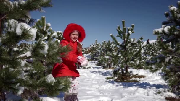 Маленька дівчинка грає зі сніжками — стокове відео