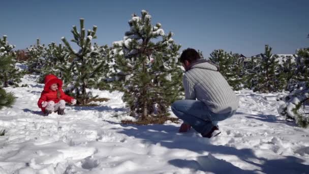 Bambina con padre che gioca con le palle di neve — Video Stock